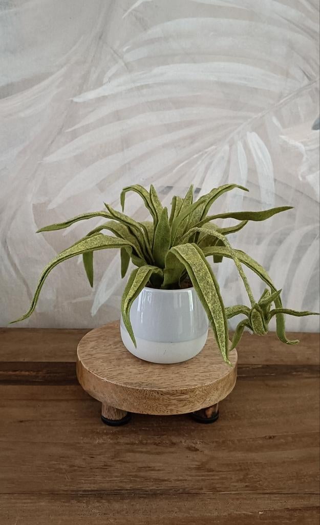 Handgemaakte graslelie van vilt., Huis en Inrichting, Woonaccessoires | Kunstplanten en Kunstbloemen, Nieuw, Ophalen of Verzenden
