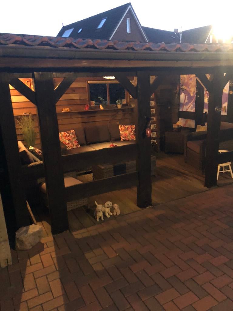 Overkapping met pannendak, Tuin en Terras, Overkappingen, Ophalen, Gebruikt, Veranda