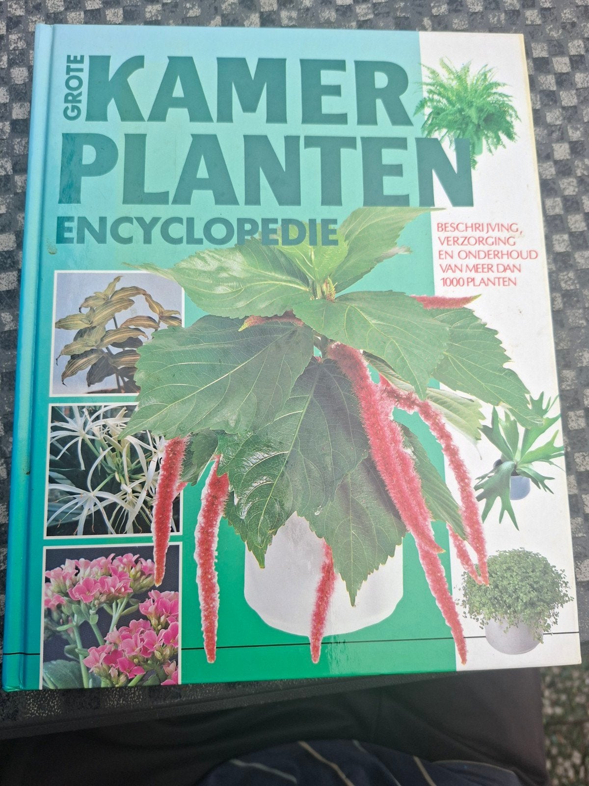 Grote kamerplantenencyclopedie, Boeken, Ophalen of Verzenden, Nieuw, Bloemen en Planten