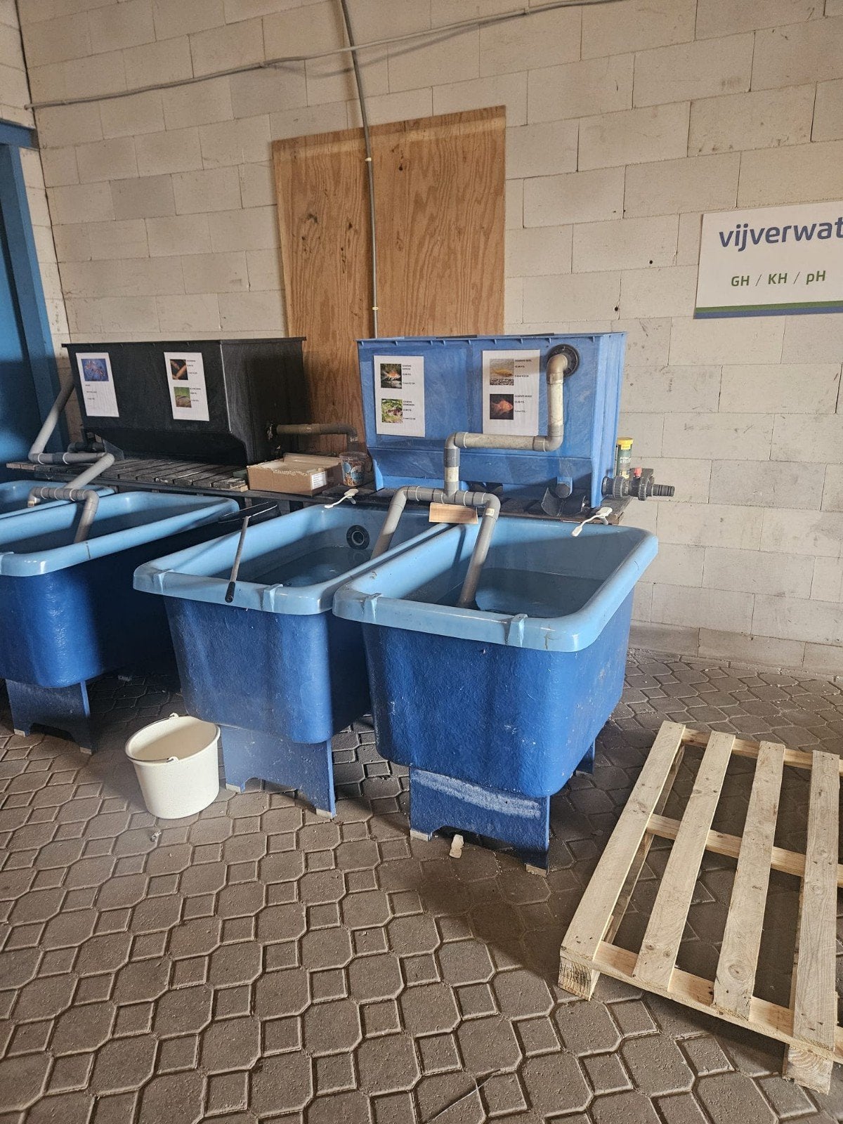 Quarantaine bakken 4 stuks, Ophalen, Gebruikt, Overige merken, Leeg aquarium
