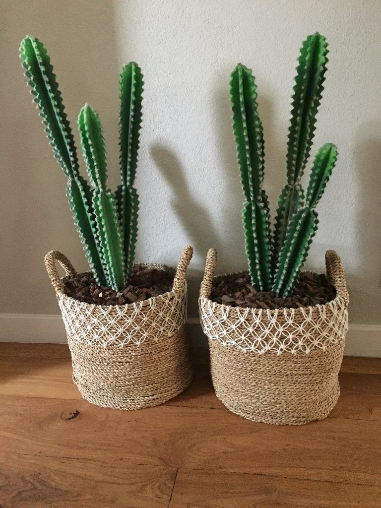 2 Mooie manden met kunst cactussen, Ophalen, Binnen, Groen, Overige materialen