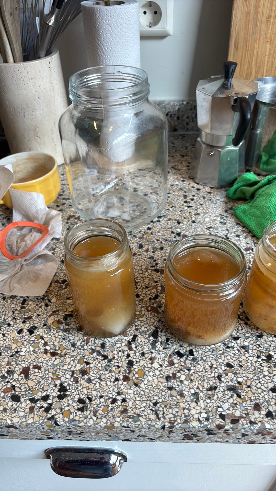 Kombucha scoby, Ophalen