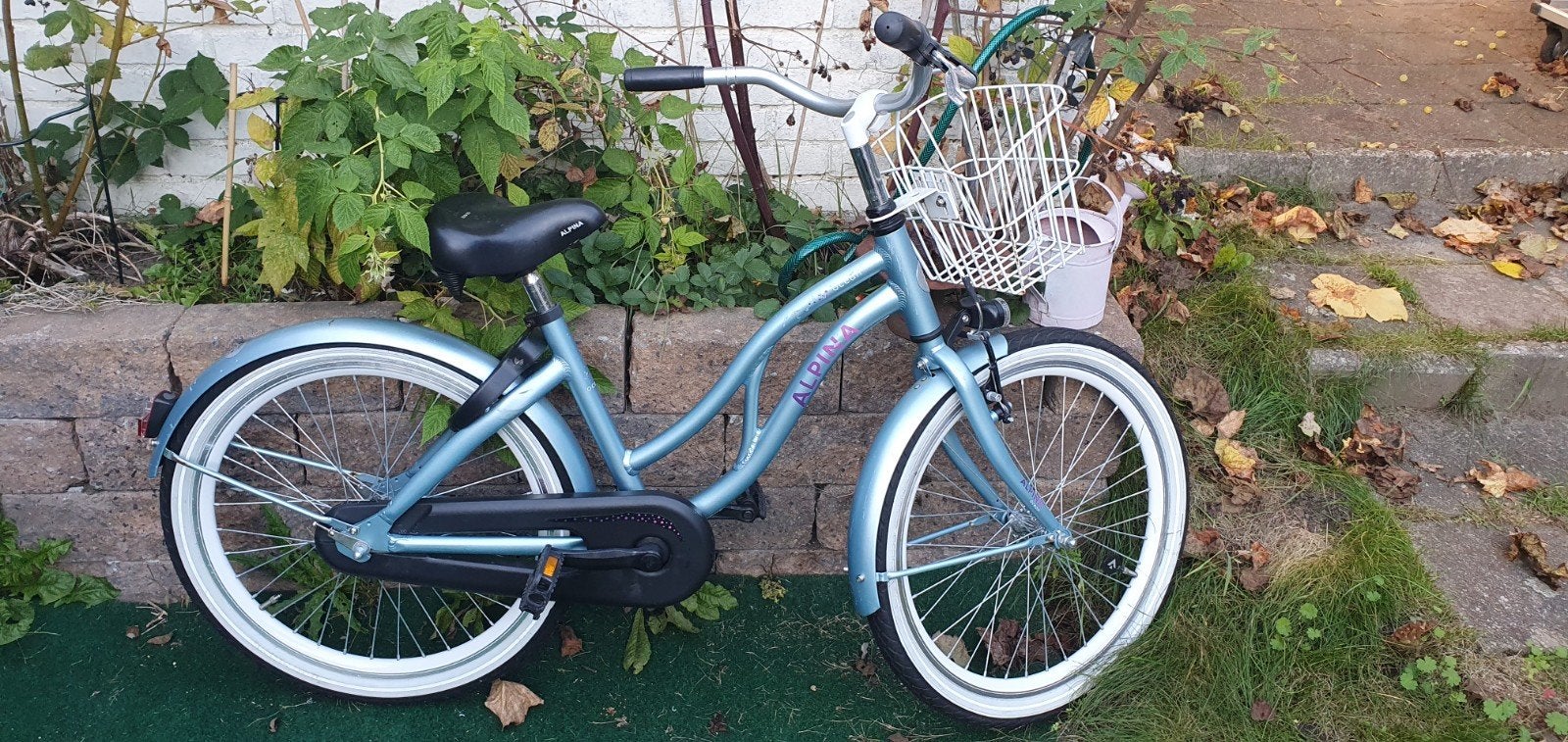 Alpina Ocean kinderfiets, Ophalen, Terugtraprem, 22 inch, Gebruikt