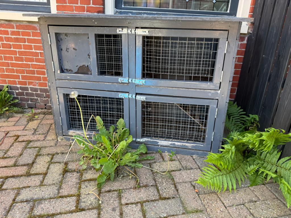 Konijnenhok, 110 cm of meer, Ophalen of Verzenden, Zo goed als nieuw, 90 cm of meer