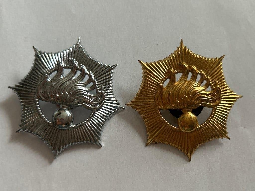 Set van 2 Rijkspolitie sterren / pet-emblemen  Goud &Zilver, Verzenden, Landmacht, Nederland, Embleem of Badge