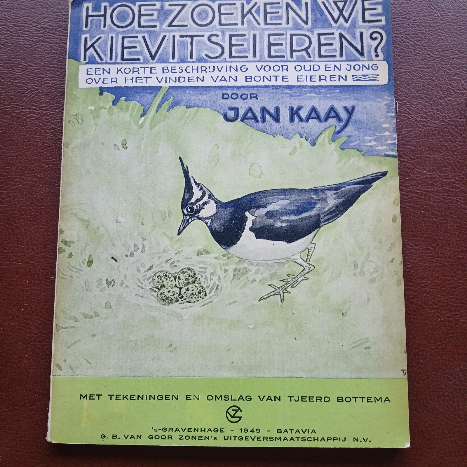Hoe Zoeken We Kievitseieren? - Jan Kaay (1949), Ophalen of Verzenden