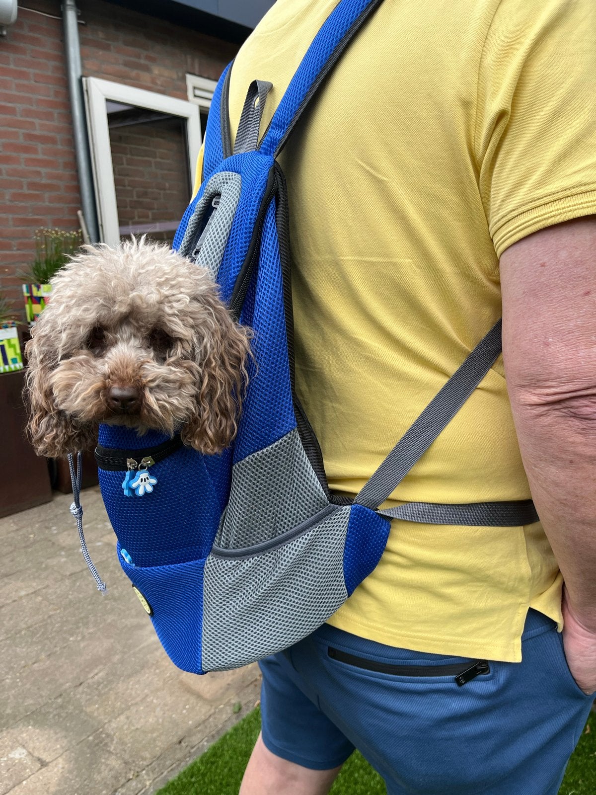 2 hondenrugzakken voor kleine hond, Ophalen of Verzenden, Nieuw