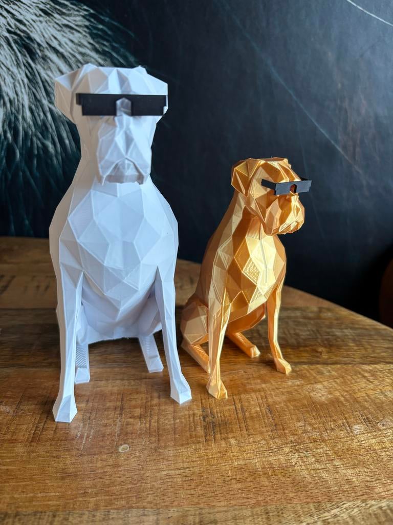 3D geprinte Boxer, Meerkleurig, Nieuw, Kunststof, Ophalen of Verzenden