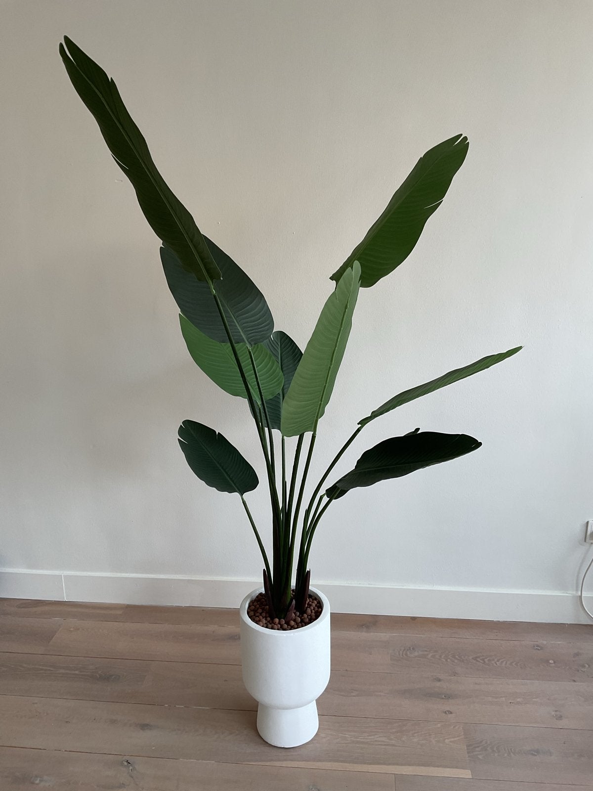 Strelitzia kunstplant 180 cm inclusief pot, Ophalen, Binnen, Groen, Kunstplant
