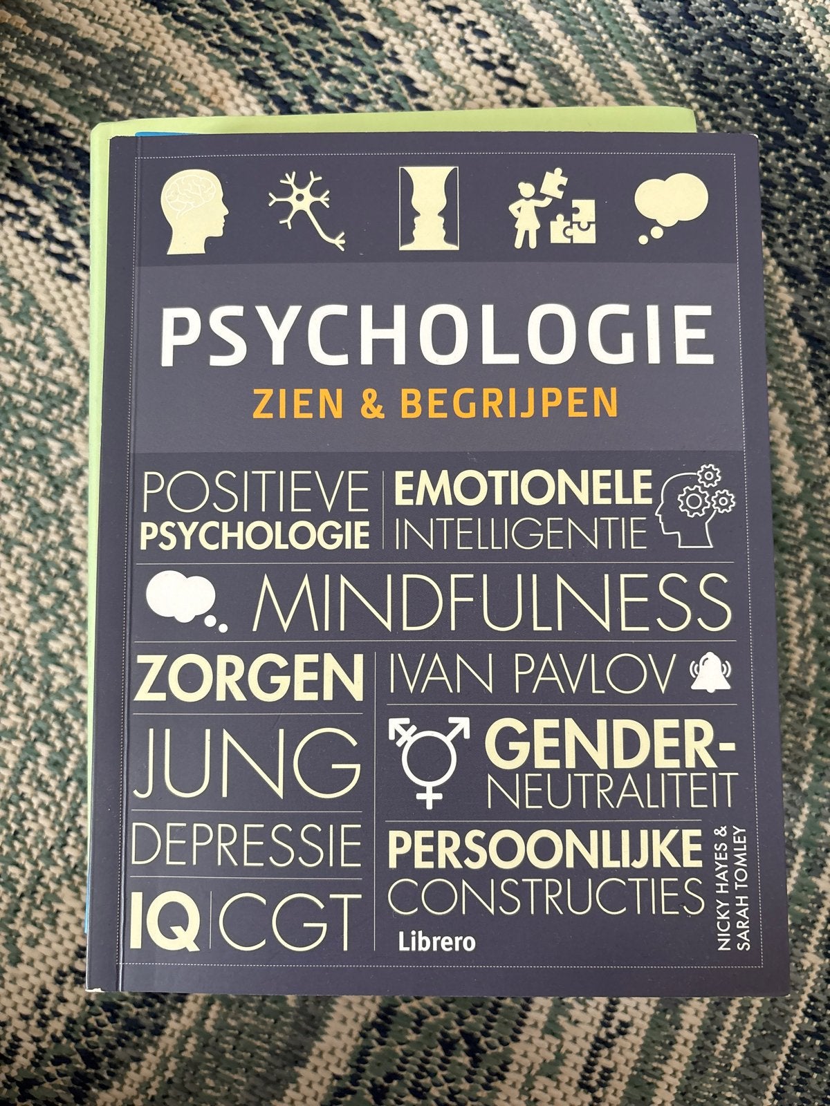 Psychologie: Zien & Begrijpen - Nicky Hayes & Sarah Tomley, Ophalen of Verzenden, Gamma, Gelezen, HBO