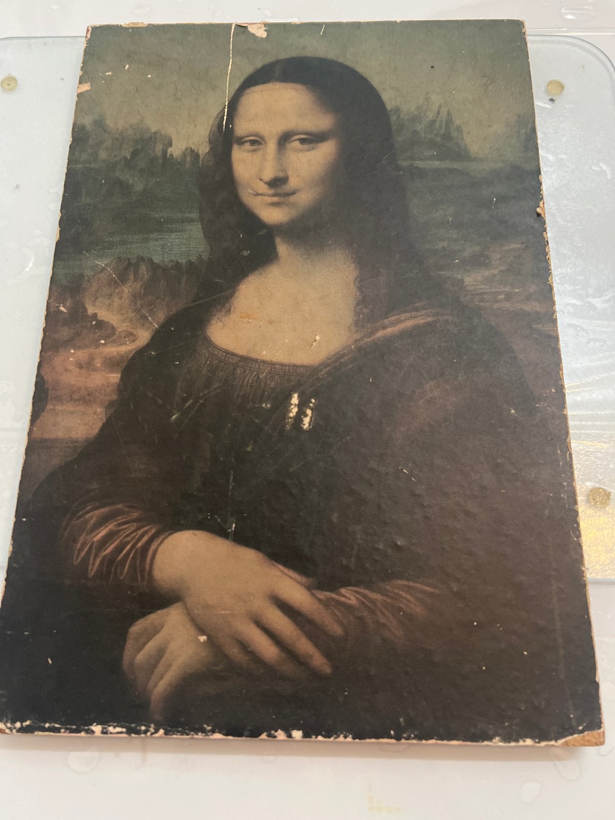 Vintage Mona Lisa reproductie op paneel, Paneel, Portret of Personen, Ophalen of Verzenden, Klassiek