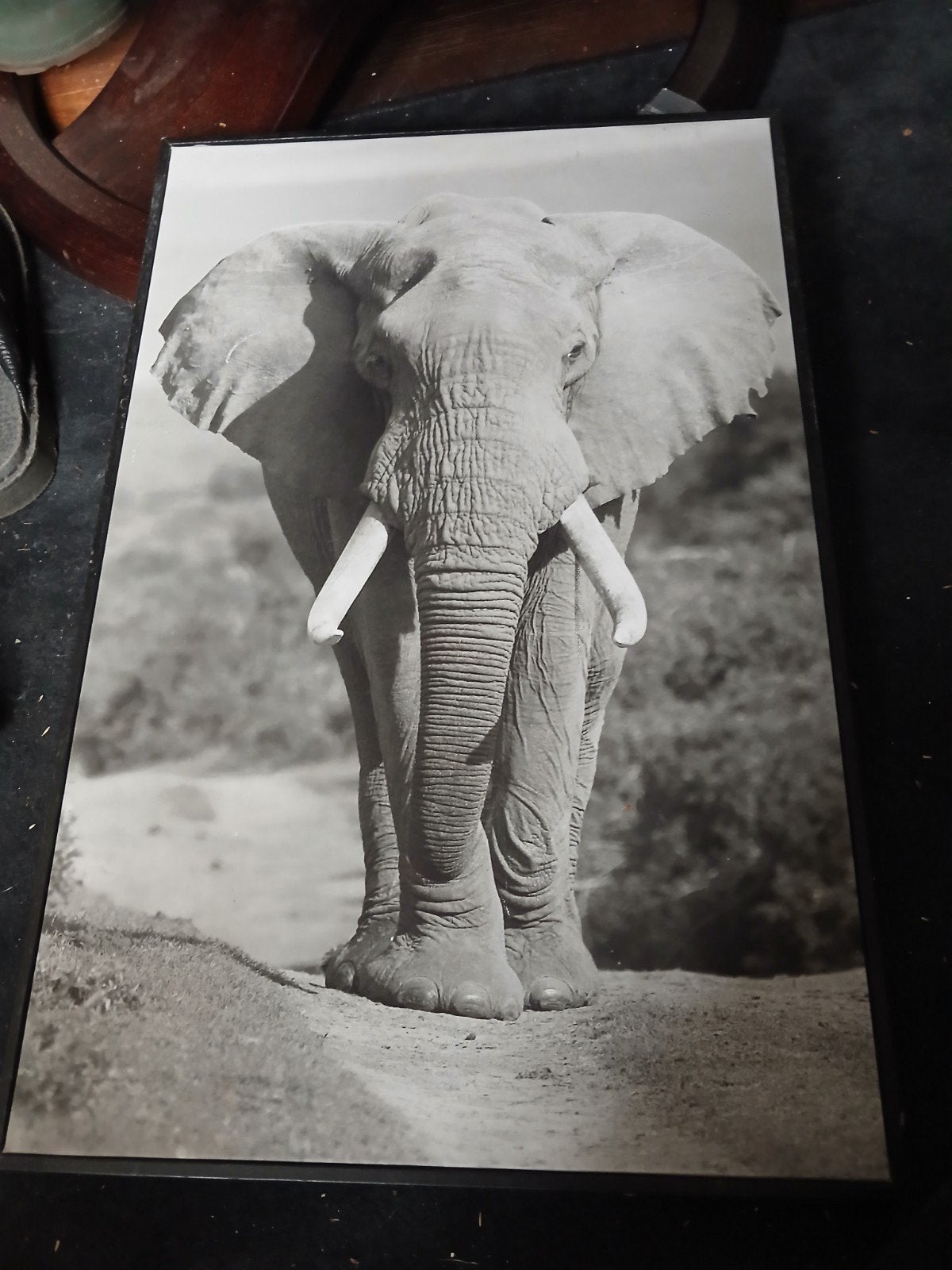 Wanddecoratie: Olifant Schilderij Zwart-Wit, Ophalen, Schilderij, Zwart, Zo goed als nieuw