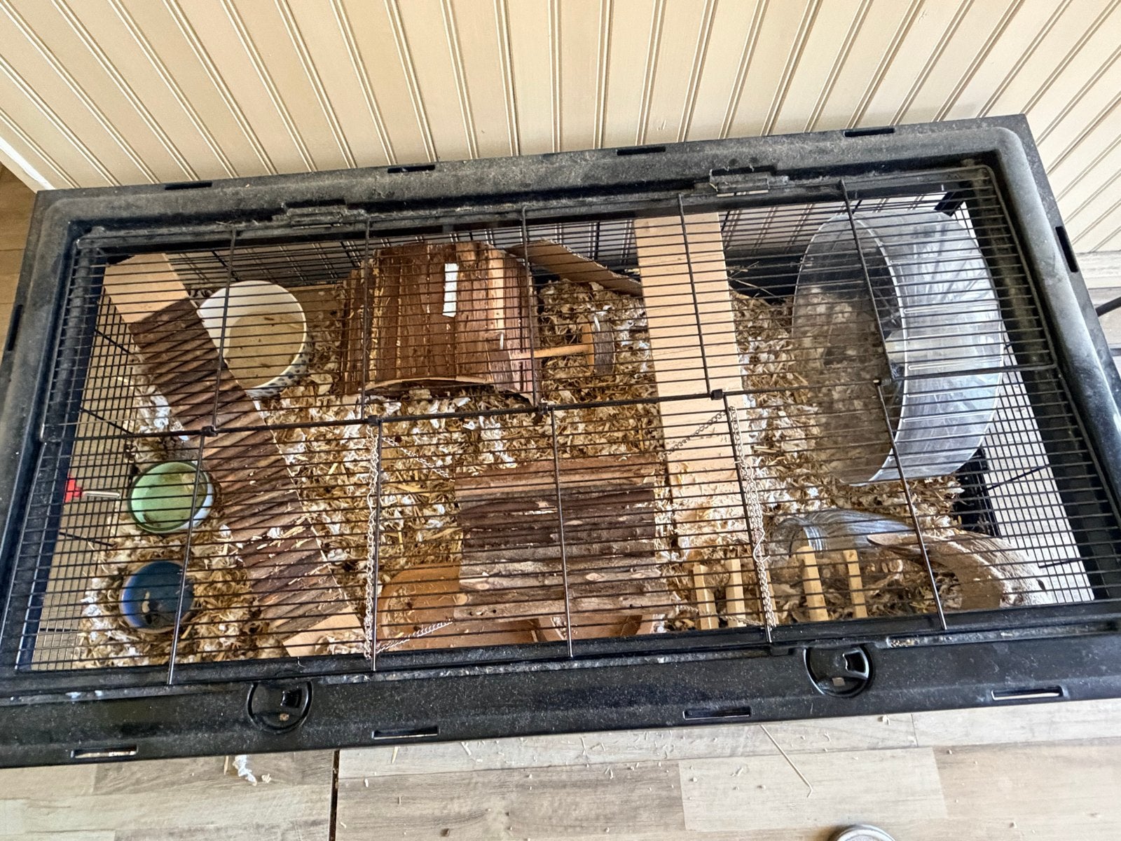 Hanster and cage, Minder dan 60 cm, Kooi, Minder dan 75 cm, Ophalen of Verzenden