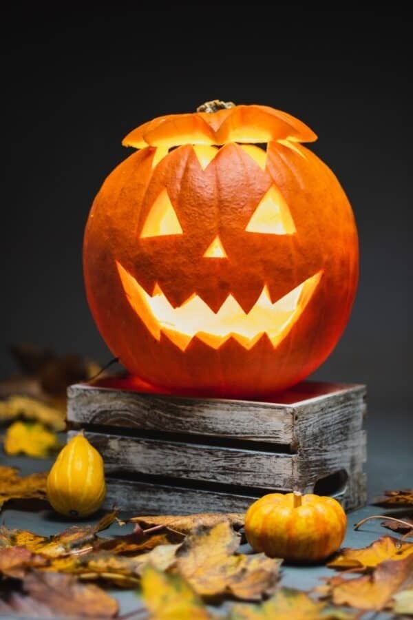 gezocht oranje pompoenen, Ophalen, Halloween of Griezel