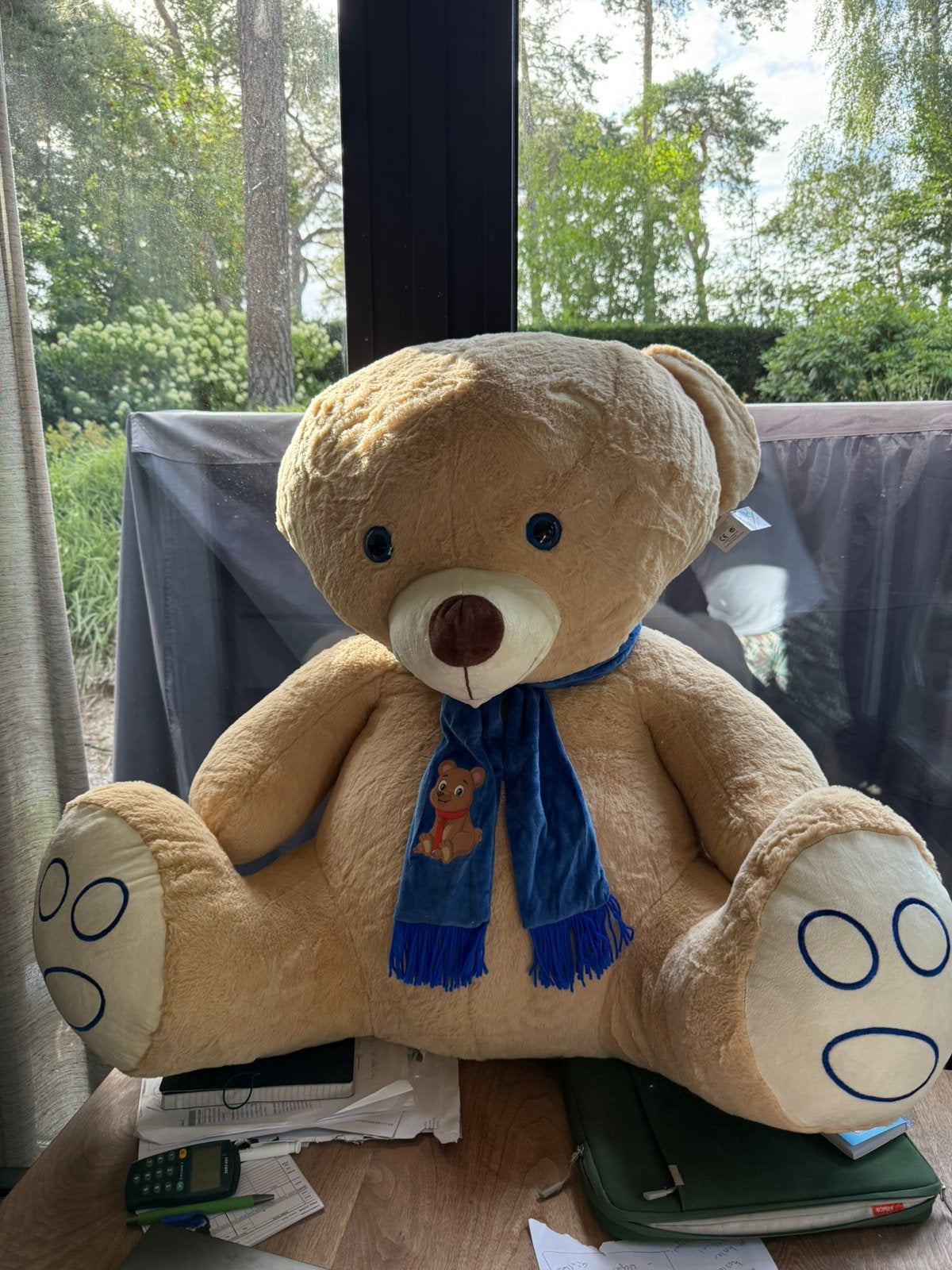 Beer, Verzamelen, Beren en Cherished Teddies, Nieuw, Stoffen beer, Overige merken, Ophalen