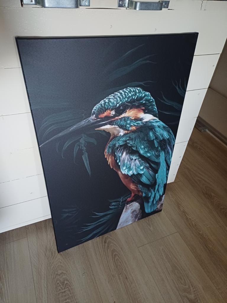 Canvas doek met ijsvogel - 60x90 cm, Antiek en Kunst, Kunst | Schilderijen | Modern, Ophalen of Verzenden