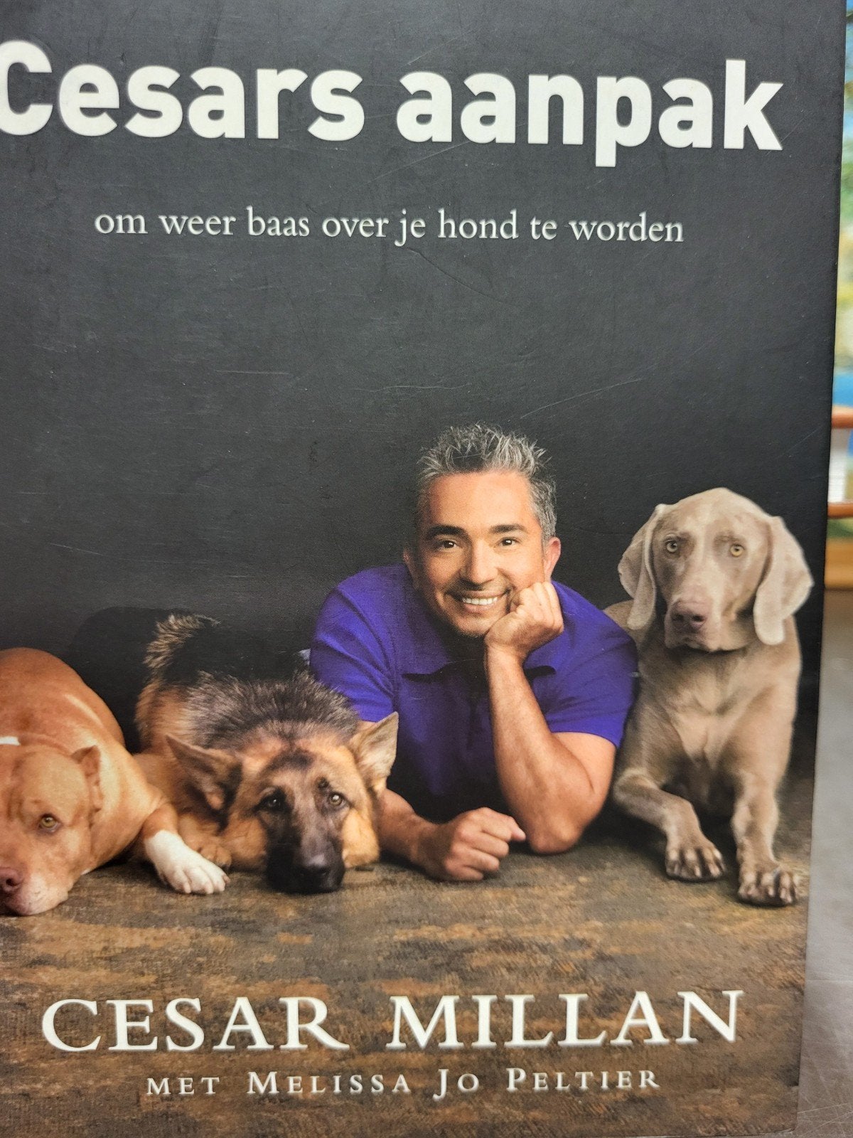 WD-006/9 Cesars aanpak: Word weer baas over je hond - Cesar, Ophalen of Verzenden, Gelezen, Honden, Cesar Millan