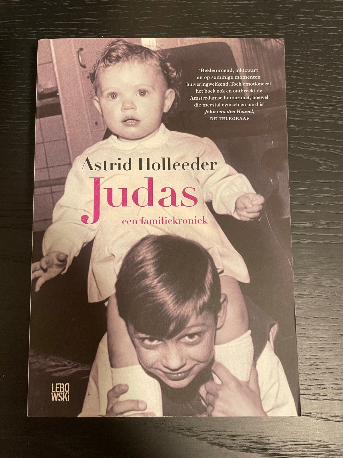 Astrid Holleeder - Judas: Een Familiekroniek, Ophalen of Verzenden, Gelezen, Overige