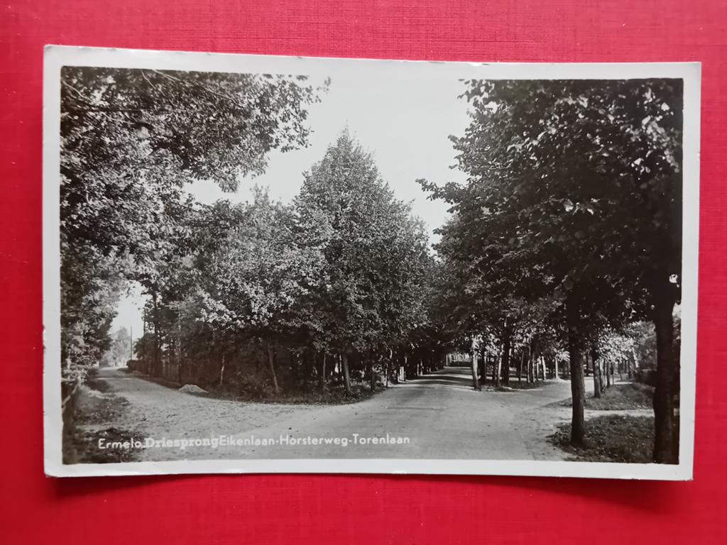 Ansichtkaart Ermelo, Ophalen of Verzenden, Gelderland