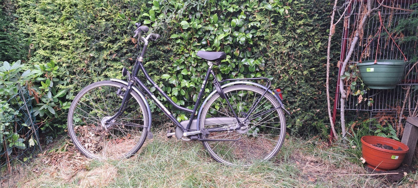 Damesfiets studenten fiets, Fietsen en Brommers, Fietsen | Dames | Damesfietsen, Gebruikt, Versnellingen, 56 cm of meer, Ophalen