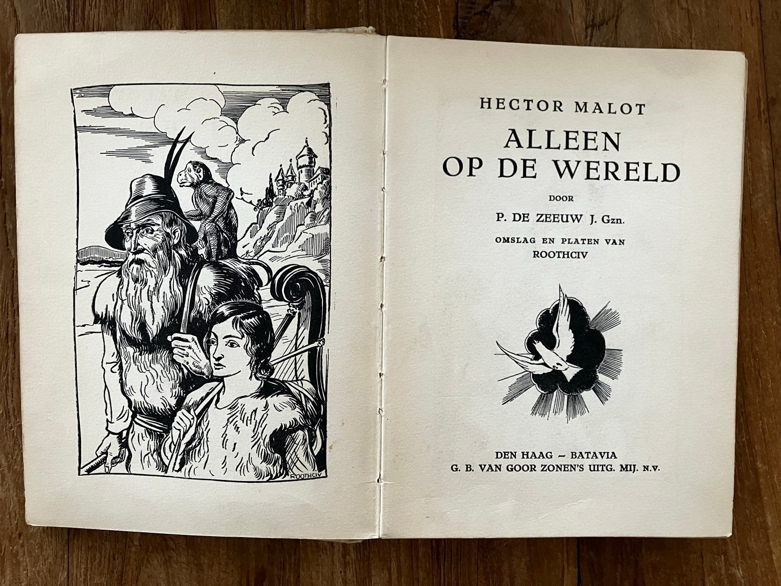 Alleen op de Wereld - Hector Malot (Oude Uitgave), Ophalen of Verzenden, Gelezen, Fictie algemeen