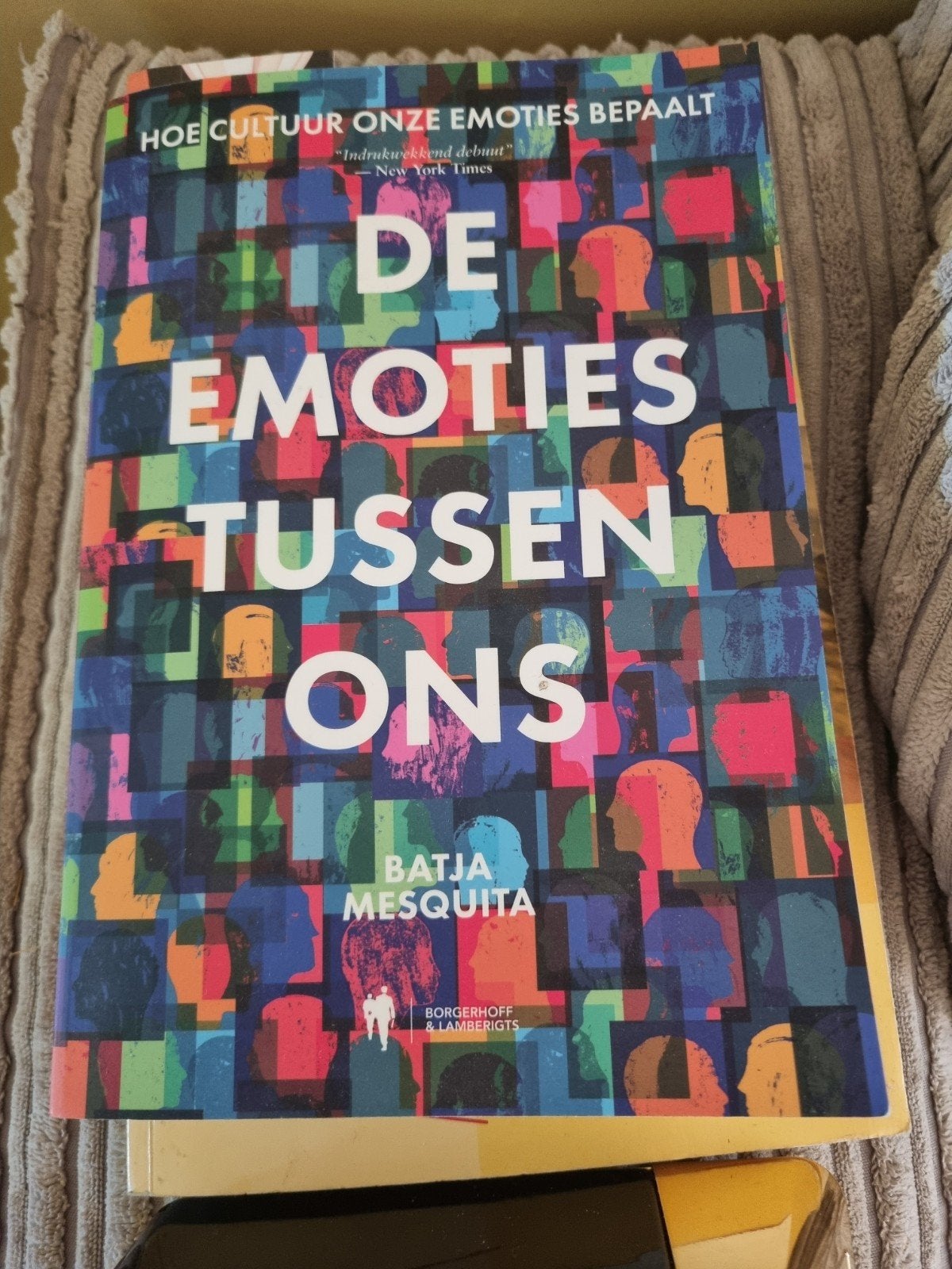 Verdragen & De Emoties Tussen Ons - Nieuwe psychologieboeken, Ophalen of Verzenden, Nieuw, Sociale psychologie, Flip Jan van Oenen, Batja Mesquita