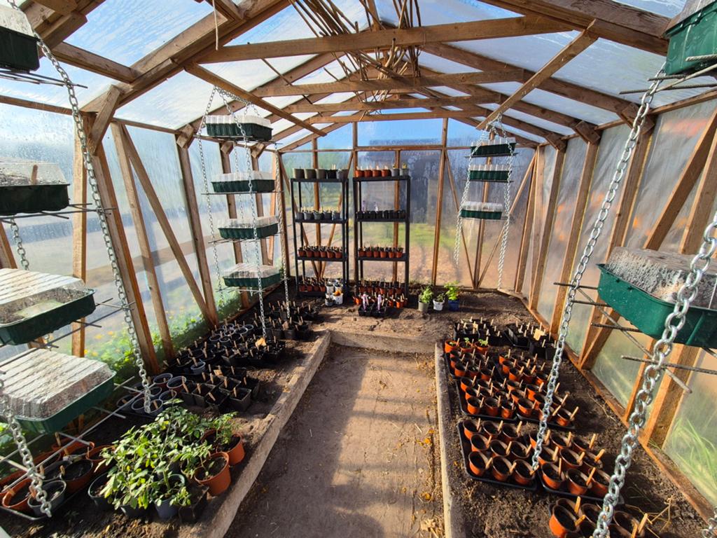 Diverse plantjes voor uw Tuin of moestuin, Tuin en Terras, Bloembollen en Zaden, Ophalen, Voorjaar, Volle zon, Zaad