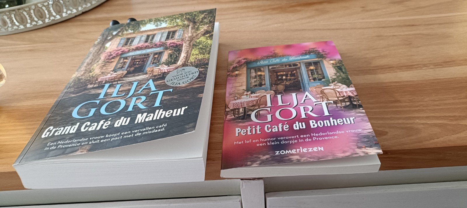 Boek Ilja Gort en zomerlezen boekje, Ophalen of Verzenden, Nieuw