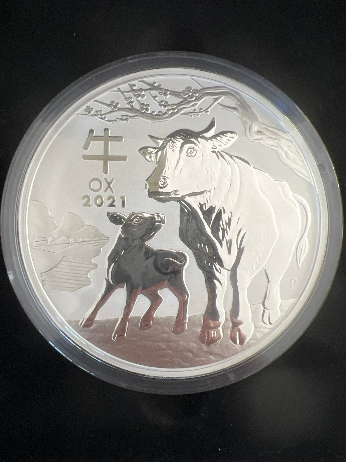 2021 Jaar van de Os 1 Kilo Zilveren Munt, Postzegels en Munten, Ophalen of Verzenden, Losse munt, Zilver