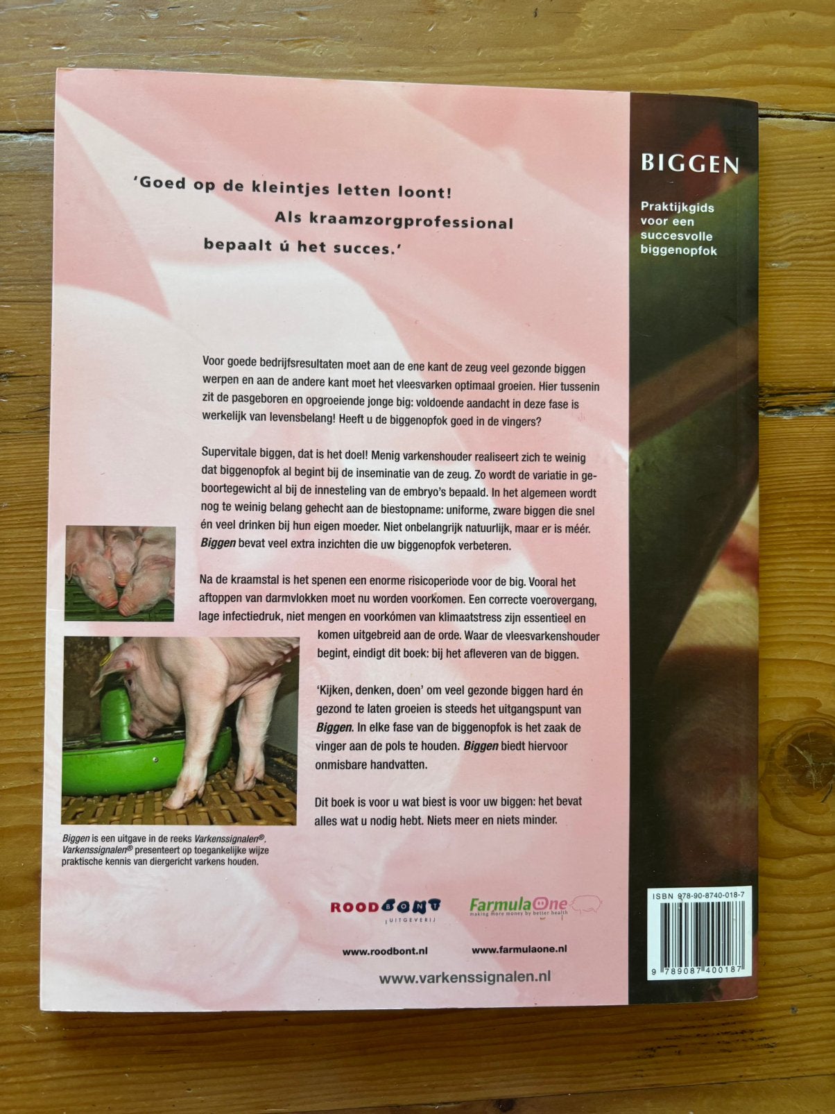 Biggen - varkenssignalen - Marrit van Engen, Ophalen of Verzenden, Zo goed als nieuw