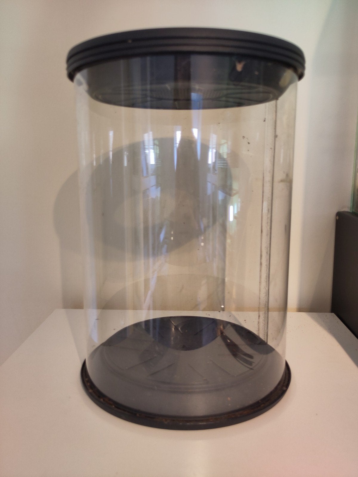 Terrarium cilinder, Dieren en Toebehoren, Ophalen, Gebruikt, Terrarium of Paludarium