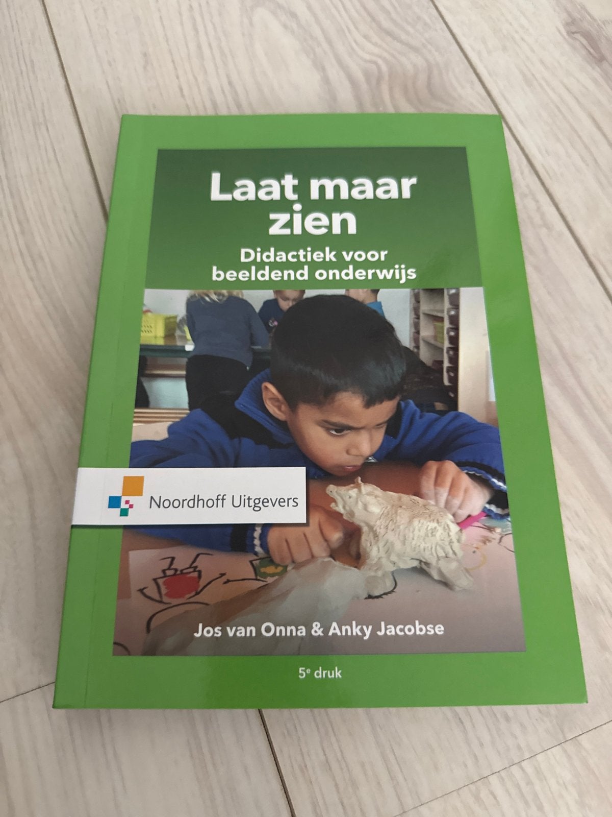 Laat maar zien: Didactiek voor beeldend onderwijs, Boeken, Ophalen of Verzenden, Zo goed als nieuw, HBO