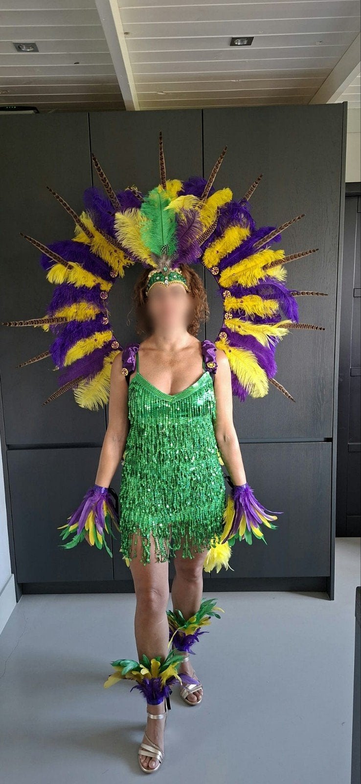 Samba kostuum, zomercarnaval, struisvogelveren, rugstuk, Ophalen, Carnaval, Kleding, Maat 36 (S)