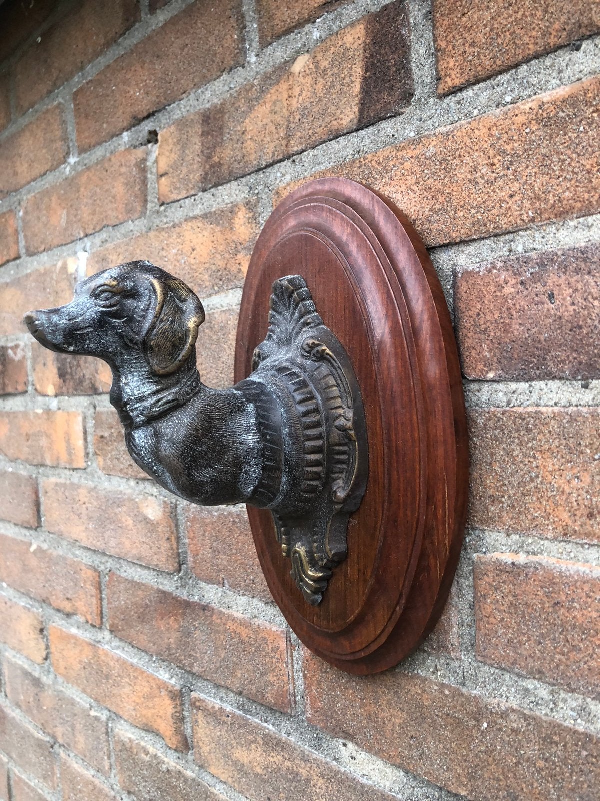 Teckel Hondenkop Wandhaak - Gietijzer, Ophalen of Verzenden