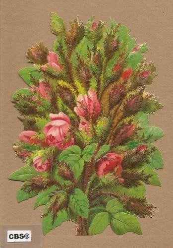 Wilde Rozen boeket poezieplaatjes 5081, Verzamelen, Ophalen of Verzenden