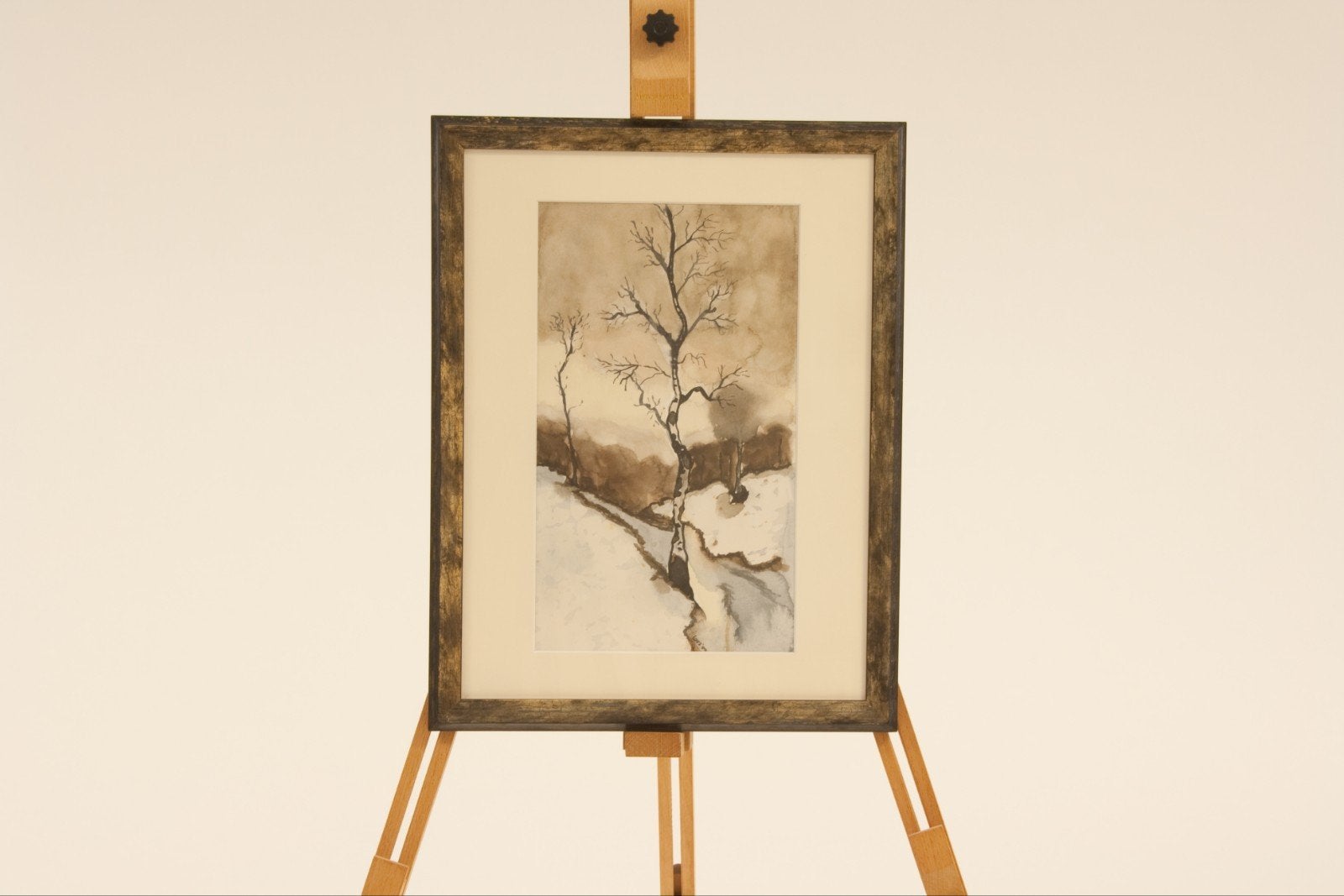 Ingelijste winterse aquarel van bomen, 44x34cm, Antiek en Kunst, Kunst | Schilderijen | Klassiek, Ophalen, Realistisch, Ingelijst