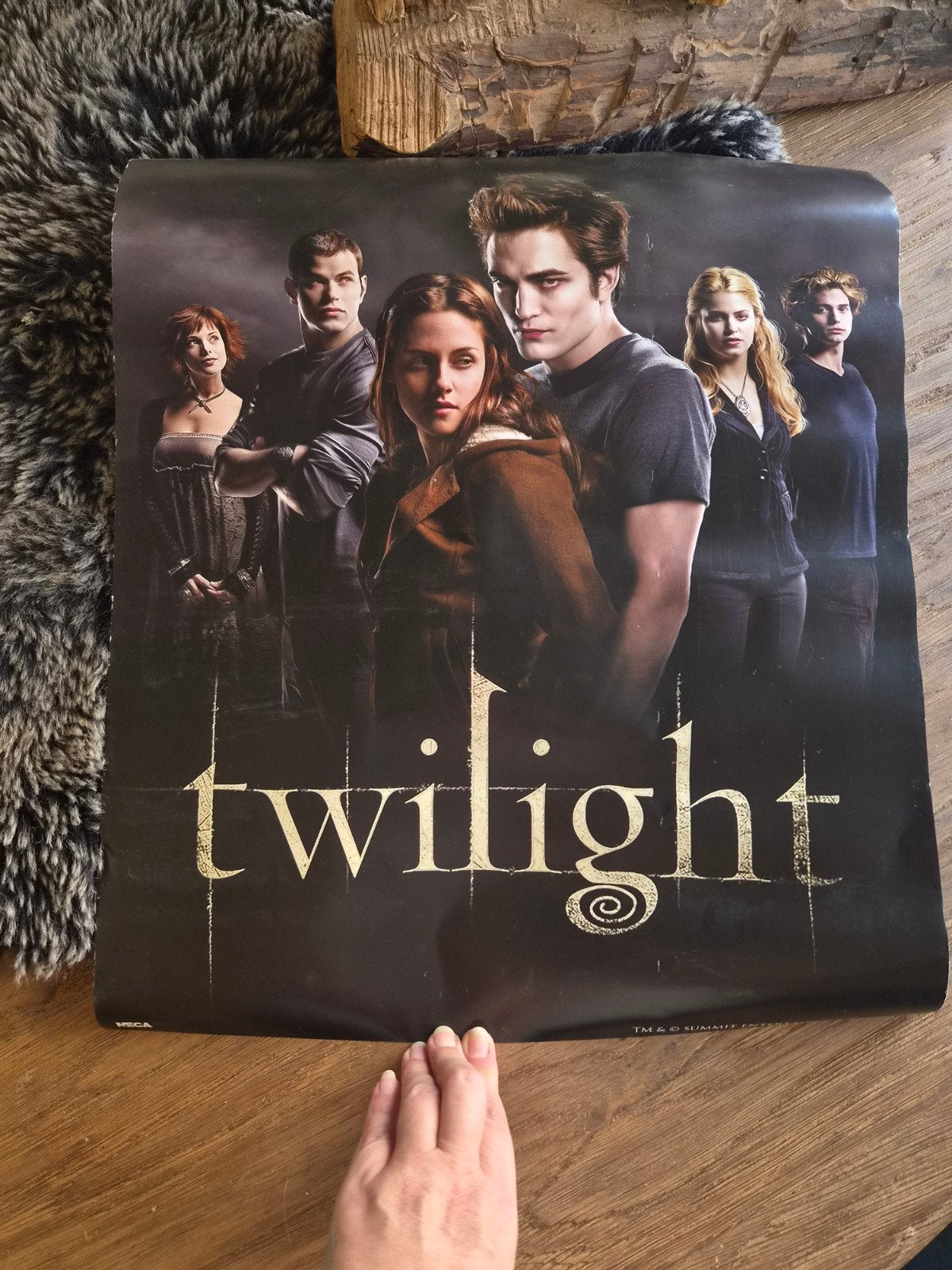 #114# Twilight Film Poster - Origineel Filmposter, Ophalen of Verzenden, A1 t/m A3, Film en Tv, Rechthoekig Staand