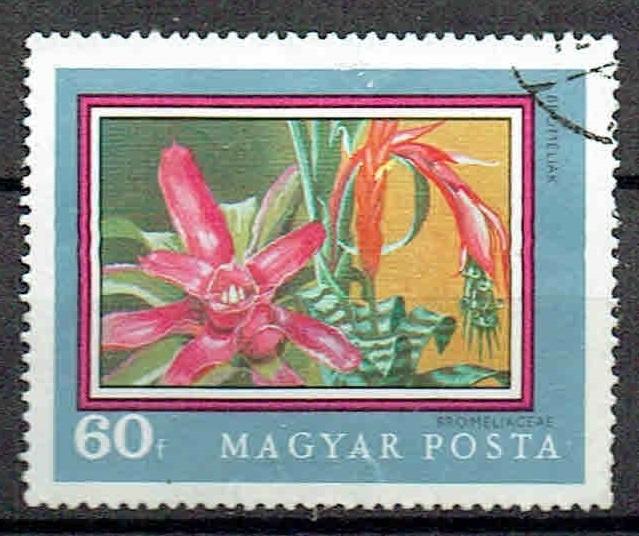 Hongarije 1971 Bromelia Bloemen, Verzenden, Gestempeld, Dier of Natuur