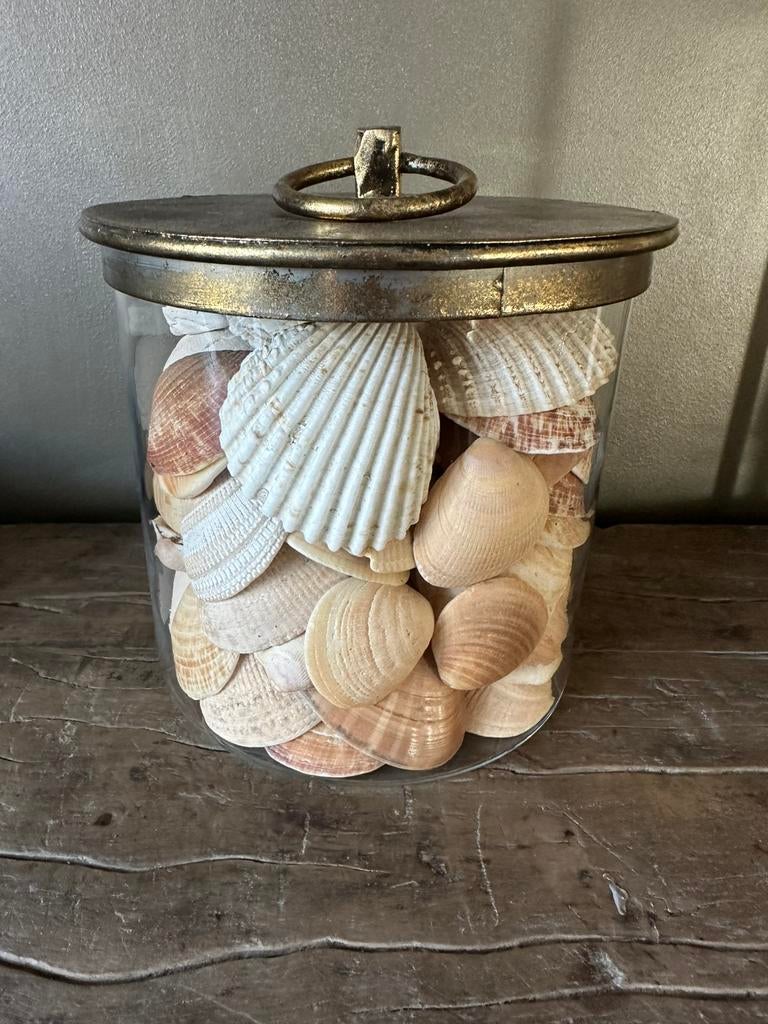Ruim 80 decoratieve schelpen, Ophalen of Verzenden, Zo goed als nieuw