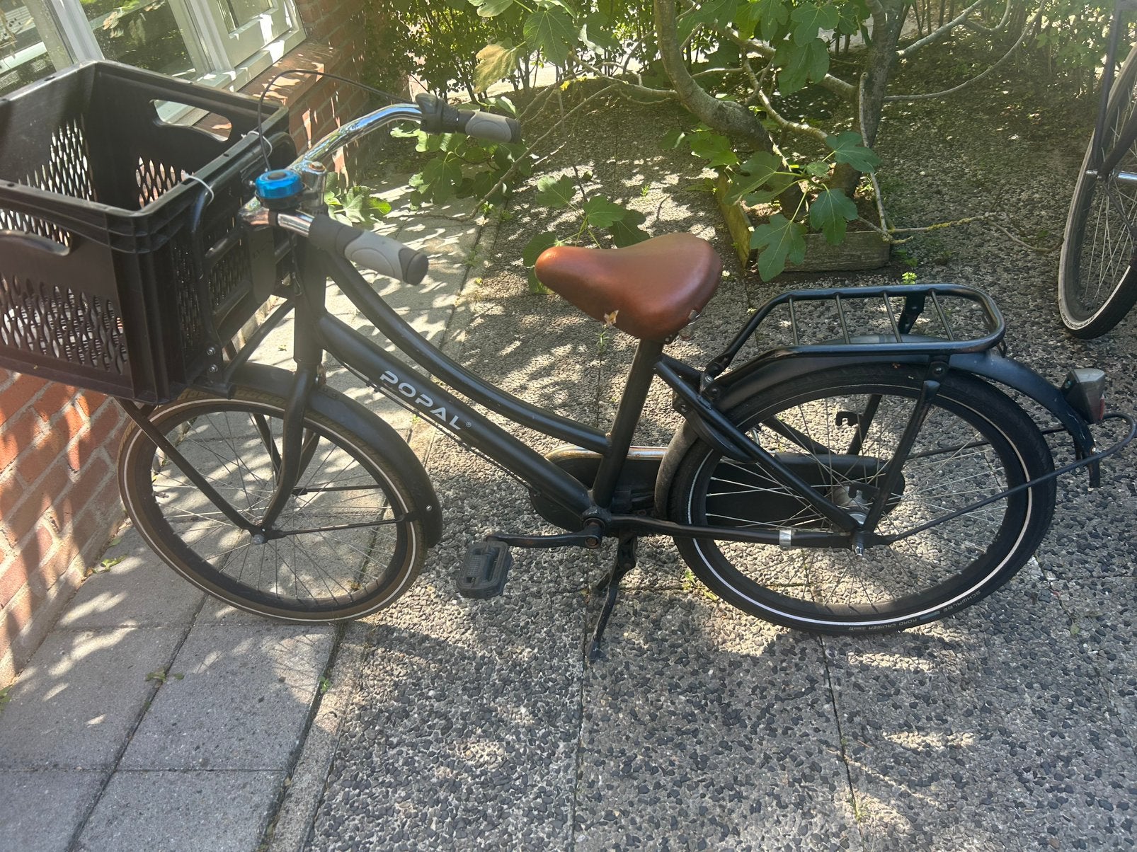 Meisjes fiets 20 inch, Ophalen, Zo goed als nieuw, 20 inch