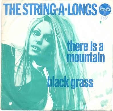 The String-A- Longs- There is a Mountain, Verzenden, Zo goed als nieuw