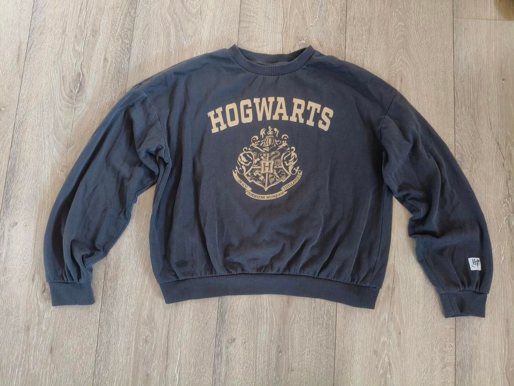 Hogwarts sweater maat 146/152 - Harry Potter trui, Kinderen en Baby's, Gebruikt, Jongen of Meisje, Trui of Vest, Ophalen of Verzenden