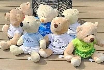 Originele Bjorn Borg Beren - Uit Engeland, Kinderen en Baby's, Speelgoed | Knuffels en Pluche, Gebruikt, Overige merken, Beer