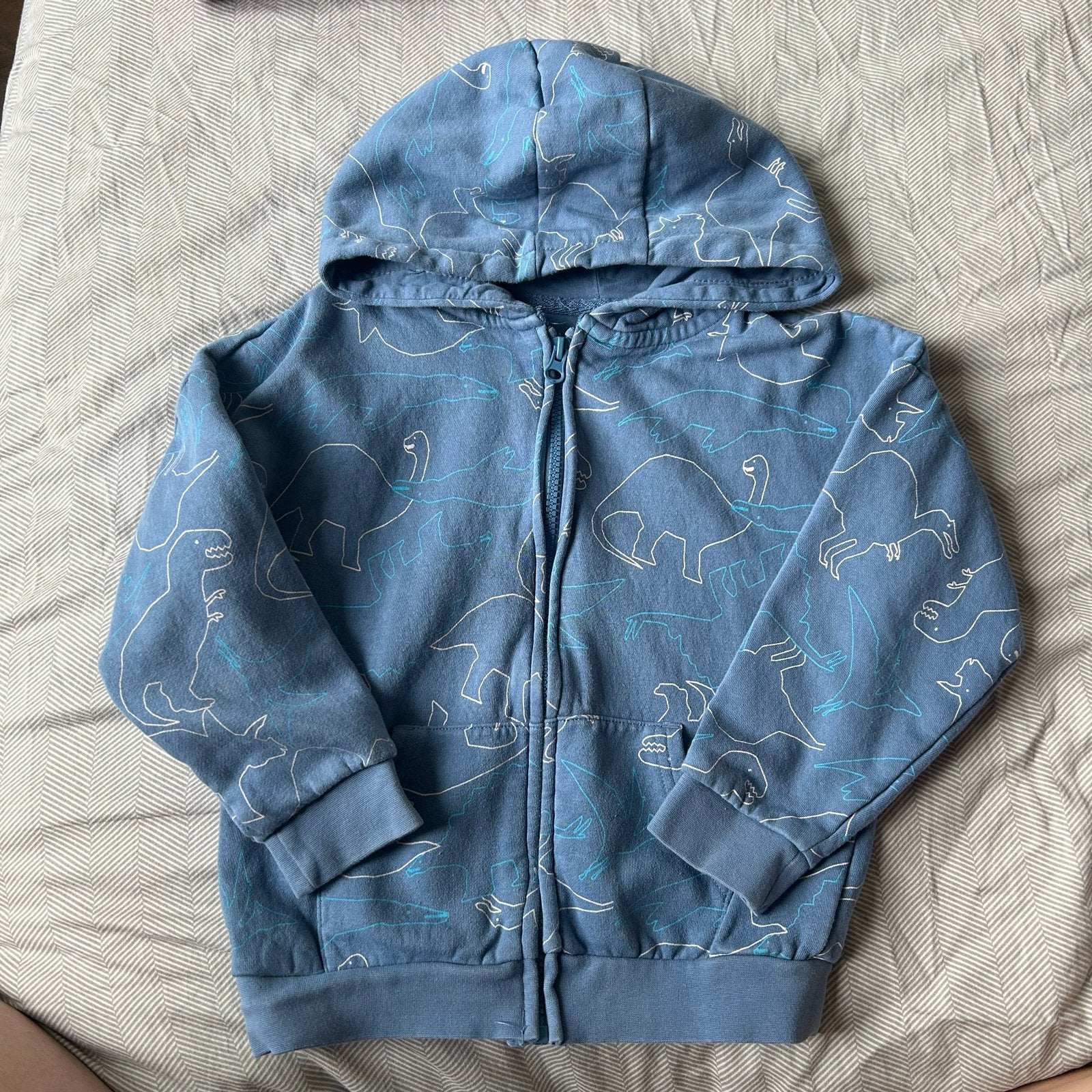 Blauw dino vest met capuchon - maat 116, Kinderen en Baby's, Ophalen of Verzenden, Zo goed als nieuw, Jongen, Trui of Vest