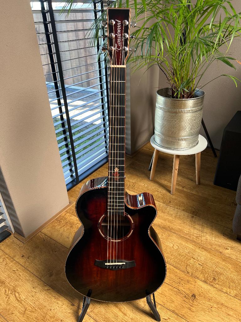 Tanglewood Semi Akoestische Gitaar, Muziek en Instrumenten, Ophalen, Nieuw, Western- of Steelstringgitaar, Met (piezo-)element