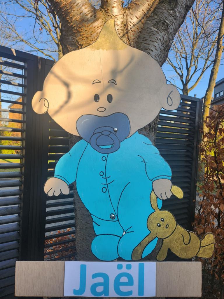 Leuk geboortebord voor in de tuin huren, Ophalen, 2000 tot heden