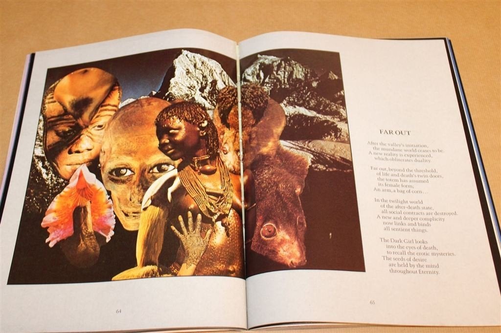 Mountain Ecstasy — Erotische Tantra Collages & Poëzie, Ophalen of Verzenden, Zo goed als nieuw