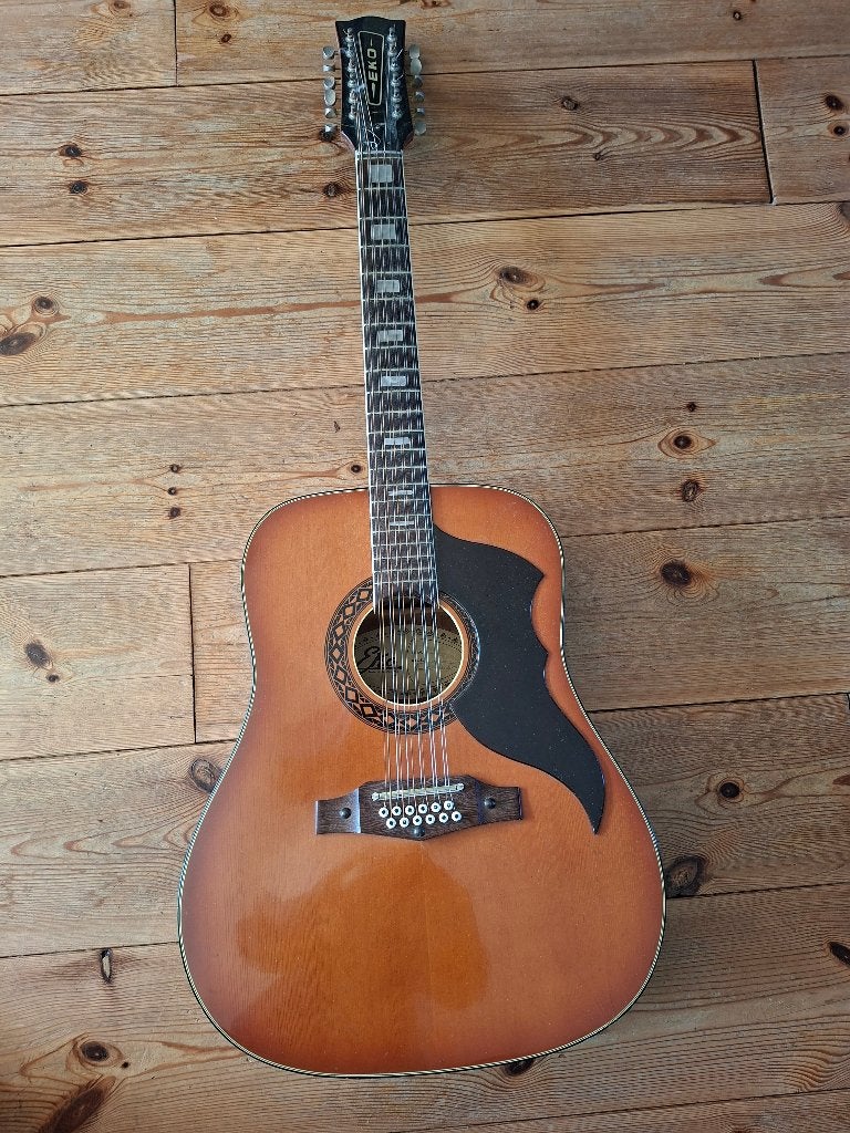 12 snarige gitaar eko, Ophalen, Gebruikt, Western- of Steelstringgitaar, 12-snarig