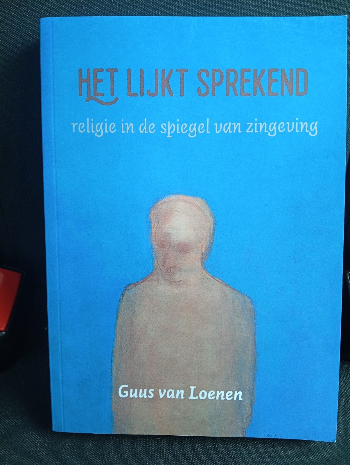 Het Lijkt Sprekend: Religie in de Spiegel van Zingeving, Boeken, Achtergrond en Informatie, Spiritualiteit algemeen, Ophalen of Verzenden