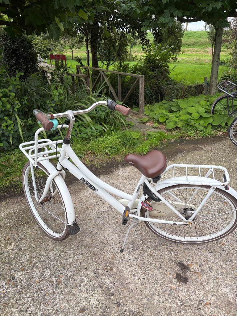 Witte Popal Daily Dutch Basic Meisjesfiets 26 inch, Ophalen, Terugtraprem, Versnellingen, Popal
